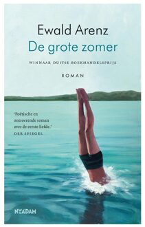 Nieuw Amsterdam De grote zomer - Ewald Arenz - ebook