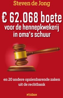 Nieuw Amsterdam EUR 62.068 boete voor de hennepkwekerij in oma's schuur - Steven de Jong - ebook
