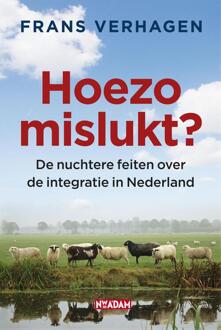 Nieuw Amsterdam Hoezo mislukt? - eBook Frans Verhagen (9046808513)