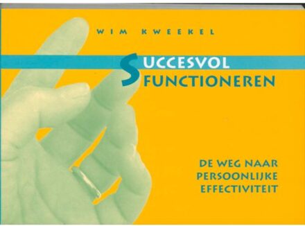 Nieuwe Vizier, Het Succesvol functioneren