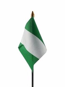 Nigeria mini vlaggetje op stok 10 x 15 cm