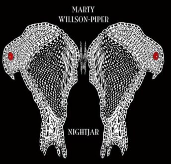 Nightjar - Marty Willson -piper