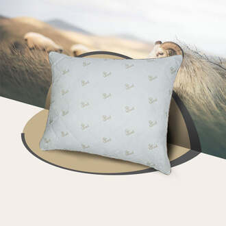 Nightlife Hoofdkussen - Natural Wol - Voor Rug- & Zij- En Buikslaper - Wol - Natuurlijk & Warm En Vochtregulerend - Dekbed-Discounter.nl