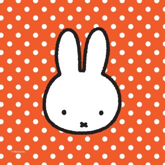 Nijntje 20x Feest/party servetten Nijntje 25 x 25 cm - Feestservetten Rood