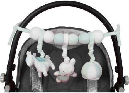 Nijntje Autospeeltje Mint Safari