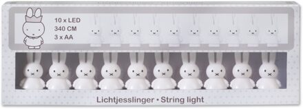 Nijntje Lichtjesslinger