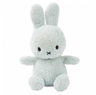 Nijntje Miffy Sitting Terry Soft Green - 23 cm - 9'' Multikleur