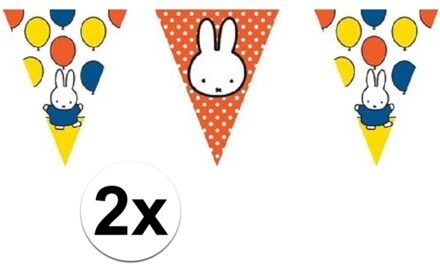 Nijntje vlaggenlijn - 2x - 10 meter - plastic - feest - verjaardag versiering - slingers