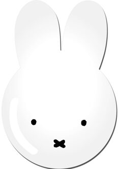 Nijntje wegwerp bordjes van karton - 8x stuks - 23 cm - Verjaardagen en kinderfeestjes