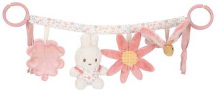 Nijntje x Little Dutch wagenspanner