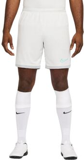 Nike Academy Dri-Fit Voetbalbroek Heren S Grijs