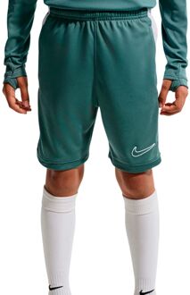 Nike Academy Voetbalbroek JR 164 Groen