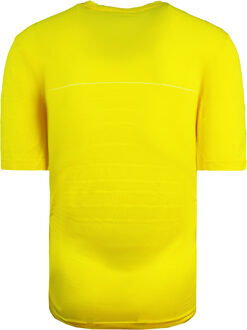 Nike Dri-Fit Korte Mouw T-shirt Crew Hals Heren Geel Voetbal Top 276059 719