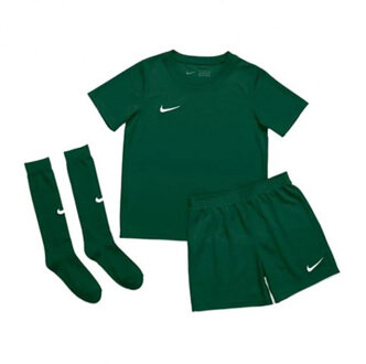 Nike DRY PARK 20 Tenue Kids Groen - 122