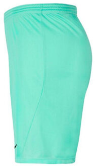 Nike Dry park iii gebreide korte broek kinderen/kinderen Groen - 122