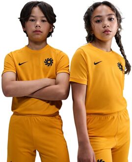 Nike Erling Haaland Academy Voetbalshirt Junior 140 goud