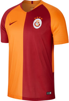 Nike Galatasaray Shirt Thuis 2018-2019 - S