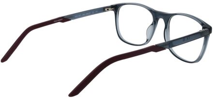 Nike Grijze RVS Brillen (Monturen) Grijs