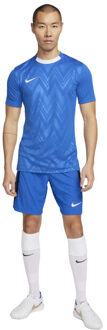 Nike Heren challenge v dri-fit jersey Blauw - L