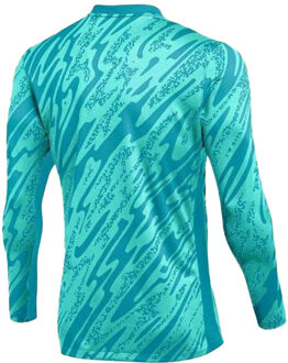 Nike Heren gardien v keepershirt Blauw - L