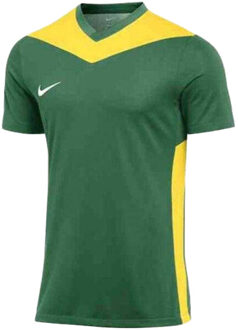 Nike Heren park derby iv dri-fit t-shirt Groen - S