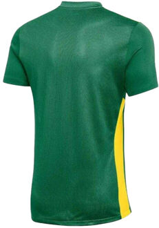 Nike Kinderen/kinderen park derby iv dri-fit t-shirt Groen - 146/152
