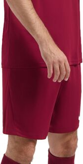 Nike Park III Sportbroek - Maat S  - Mannen - bordeaux rood
