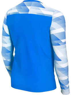 Nike Park iv dri-fit keeperstrui met lange mouwen voor kinderen/kinderen Blauw - XL