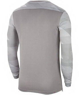 Nike Park iv dri-fit keeperstrui met lange mouwen voor kinderen/kinderen Grijs