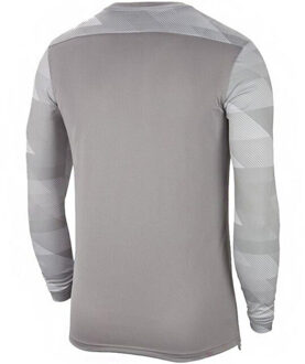 Nike Park iv dri-fit keeperstrui met lange mouwen voor kinderen/kinderen Grijs