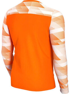 Nike Park iv dri-fit keeperstrui met lange mouwen voor kinderen/kinderen Oranje - XL