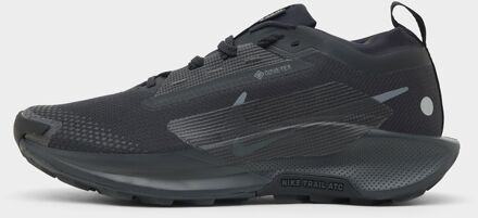Nike Pegasus Trail 5 GORE-TEX, zwart - 41