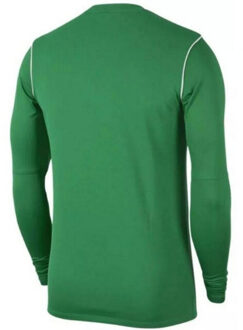 Nike Sweatshirt met ronde hals voor kinderen/kinderen park 20 Groen - 134/140