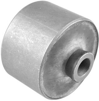 Nissan Achteraslager 00585406