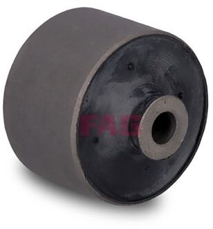 Nissan Achteraslager 829060110