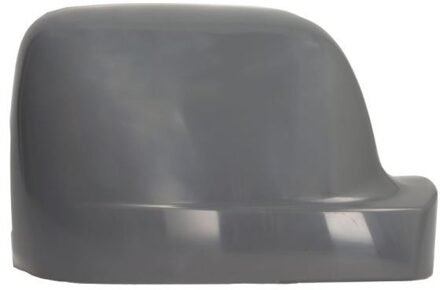 Nissan Afdekking, buitenspiegel 6103092476311P