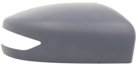 Nissan Afdekking, buitenspiegel 6103162001952P