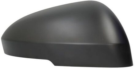 Nissan Afdekking, buitenspiegel 6103162384311P