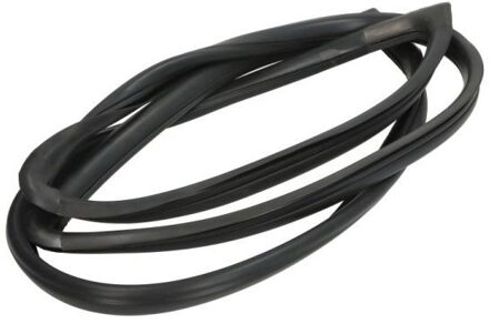 Nissan Afdichting, voorruit 5703046037635Q