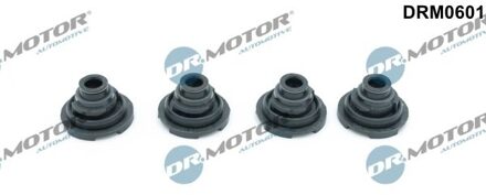 Nissan Afdichtring, bougieschacht DRM0601