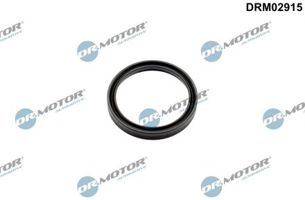 Nissan Afdichtring, turbolader DRM02915