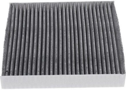 Nissan AMC Filter Interieur Carbon NC2057C