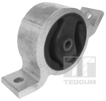 Nissan Aslichaam-/motorsteunlager 00466219