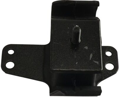 Nissan Aslichaam-/motorsteunlager EEM6516