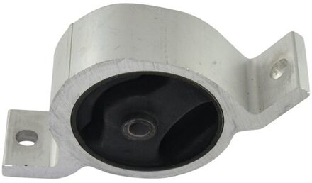 Nissan Aslichaam-/motorsteunlager EEM6572