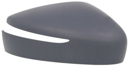 Nissan Behuizing, buitenspiegel 6103162001912P