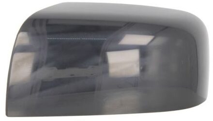 Nissan Behuizing, buitenspiegel 6103162001963P