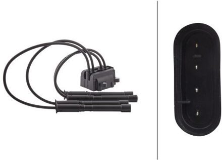 Nissan Bobine 5DA193175821