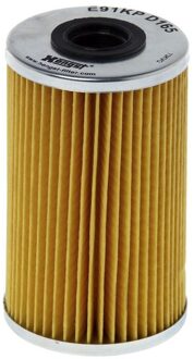 Nissan Brandstoffilter E91KPD165