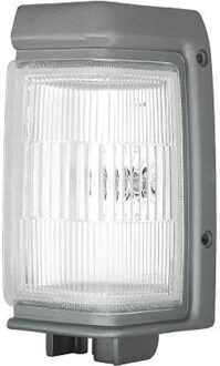 Nissan Breedtelicht 6081079